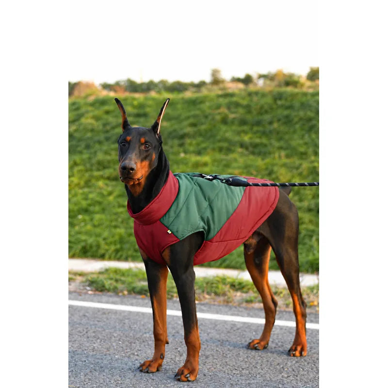 Colorblock Padded Dog Vest — product view 3