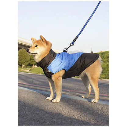 Colorblock Padded Dog Vest — product view 4