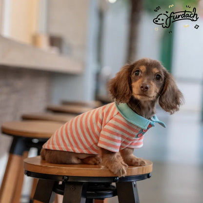 Striped Dachshund Polo Shirt — product view 3