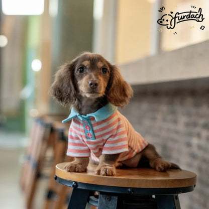 Striped Dachshund Polo Shirt — product view 4