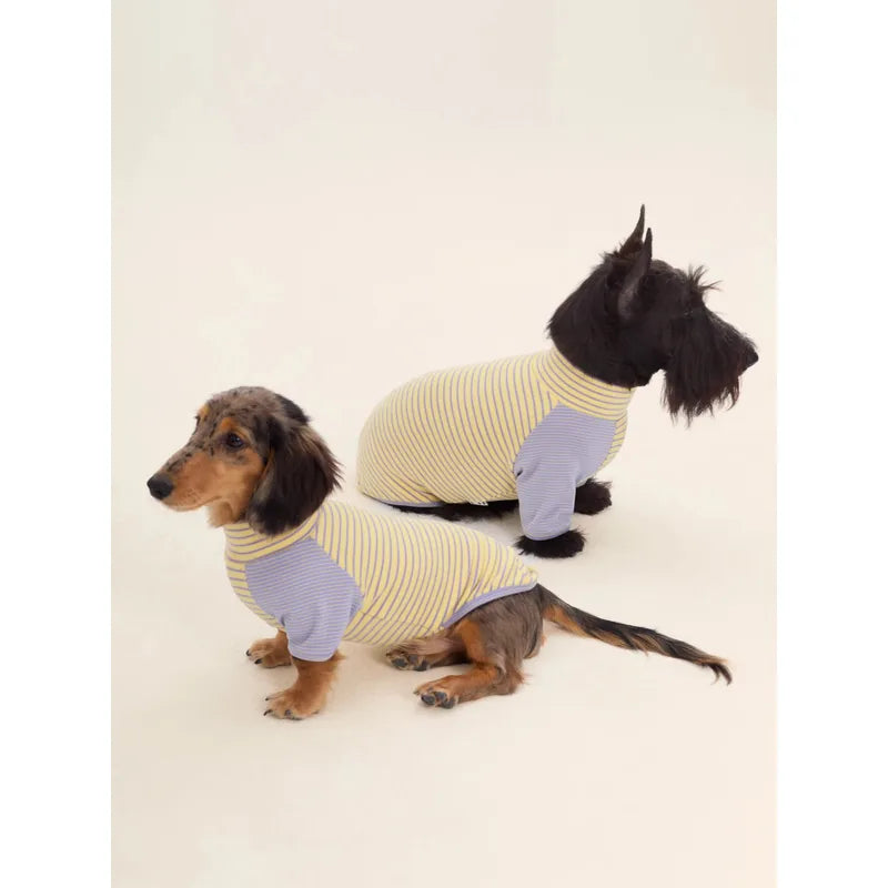 Colorblock Striped Dog Pajama Shirt — product view 3