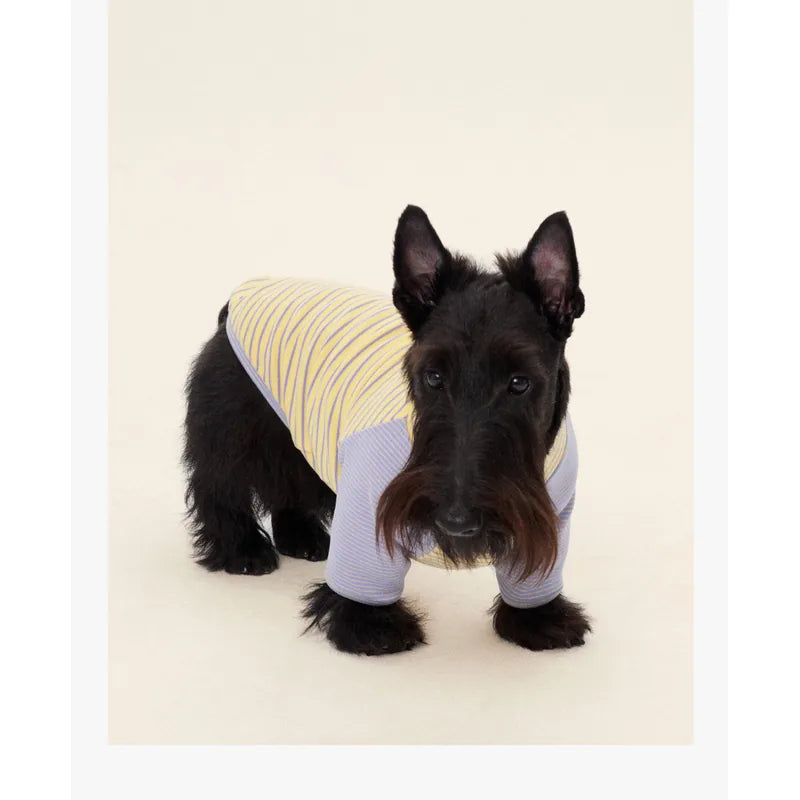 Colorblock Striped Dog Pajama Shirt — product view 11