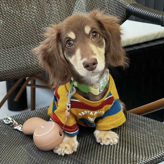Red & Yellow Striped Dog T-Shirt — product view 2
