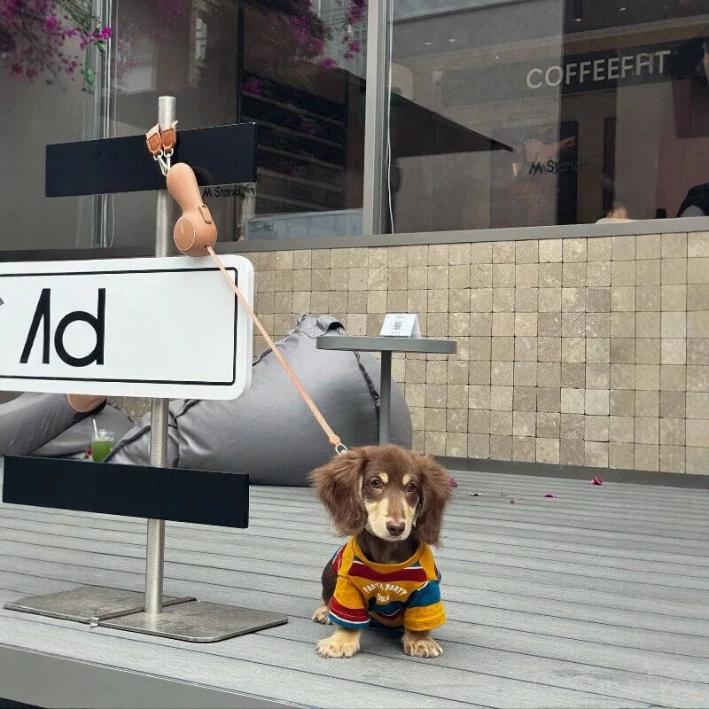 Red & Yellow Striped Dog T-Shirt — product view 3
