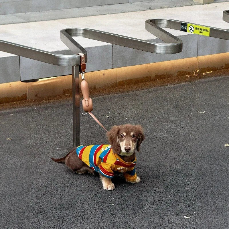 Red & Yellow Striped Dog T-Shirt — product view 4
