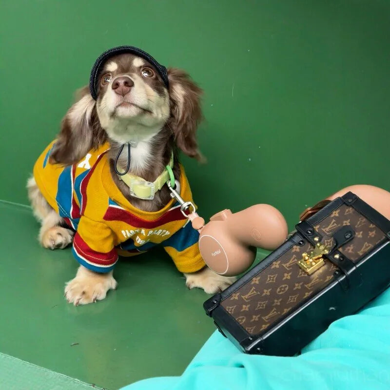 Red & Yellow Striped Dog T-Shirt — product view 5