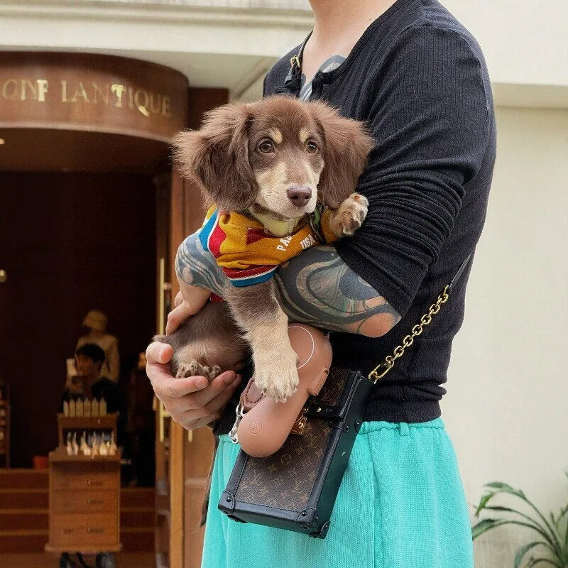 Red & Yellow Striped Dog T-Shirt — product view 8