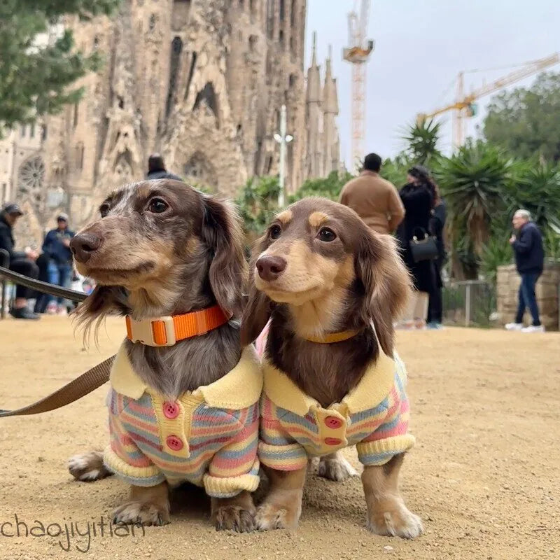 Rainbow Stripe Dog Sweater — product view 2