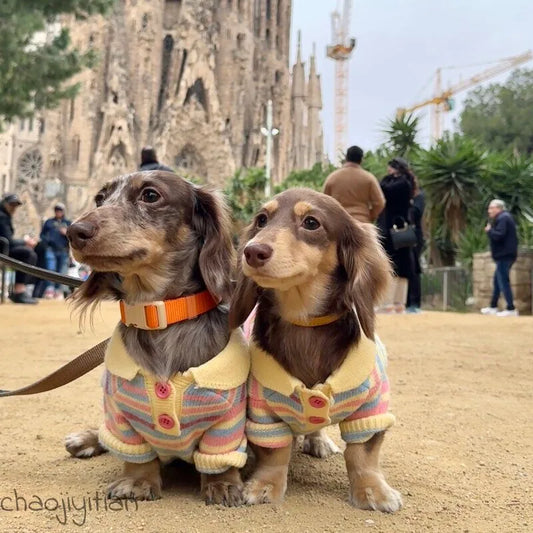 Rainbow Stripe Dog Sweater — product view 2