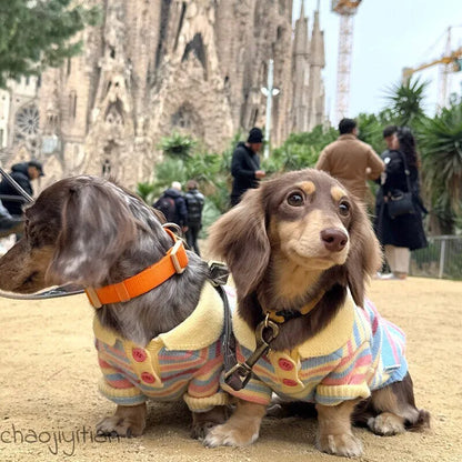 Rainbow Stripe Dog Sweater — product view 4