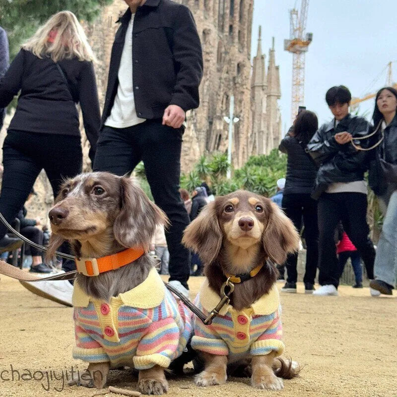 Rainbow Stripe Dog Sweater — product view 5