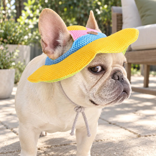 Cream French bulldog wearing a colorful mesh sun cap on a modern American patio