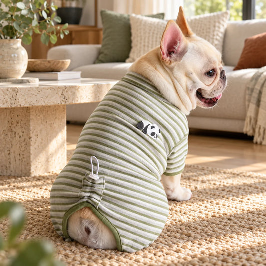 French bulldog wearing a bamboo green panda print striped onesie in a modern American living room