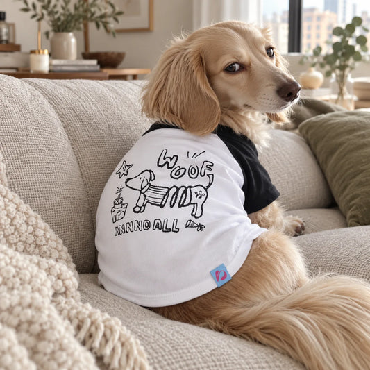 Dachshund wearing a white and black illustrated raglan T-shirt on an oatmeal sofa