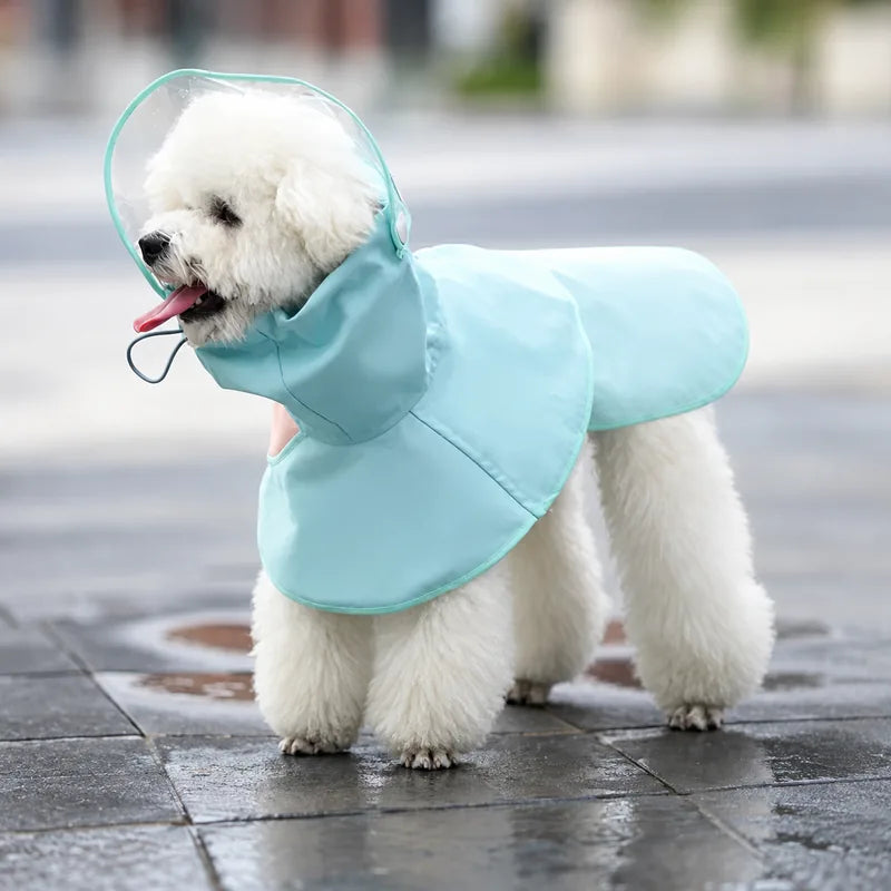 Mist blue dog rain cape with clear visor