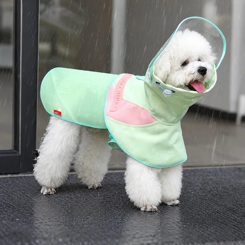 Pastel green dog rain cape