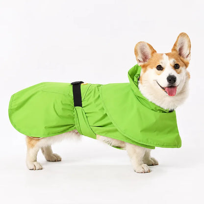 Side view of green frog dog raincoat