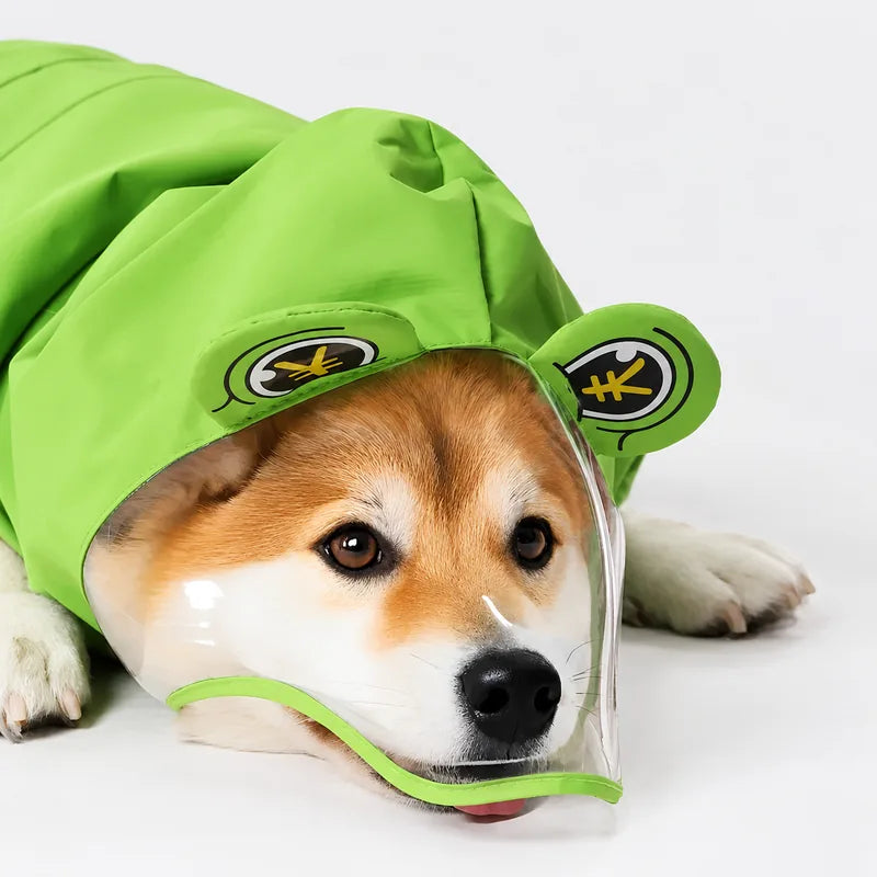 Clear visor detail on frog dog raincoat