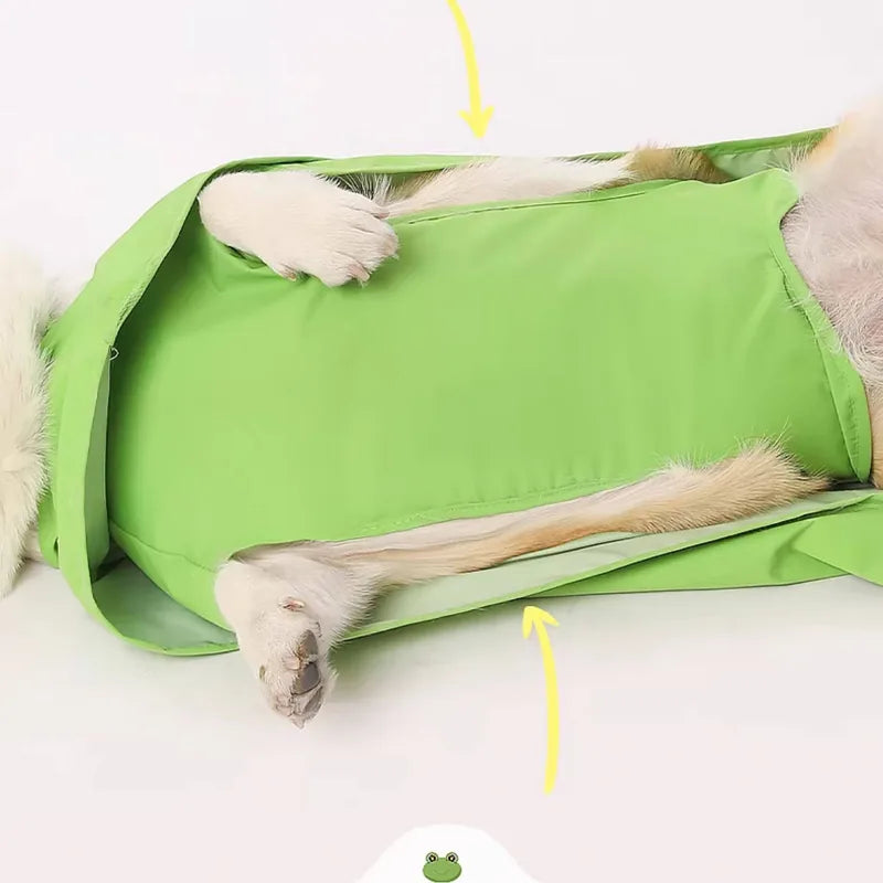 Belly panel detail of frog dog raincoat
